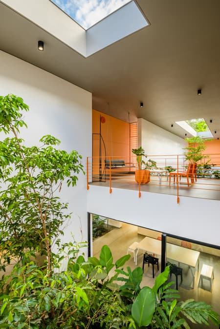 The Colour Burst House